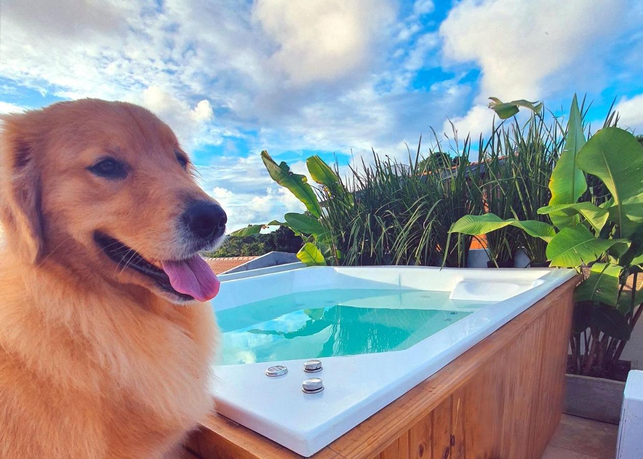 Vila Pitangueira - Apto no coração de Serra Grande com Piscina, Jacuzzi, Internet Veloz em Meio a Natureza Extérieur photo